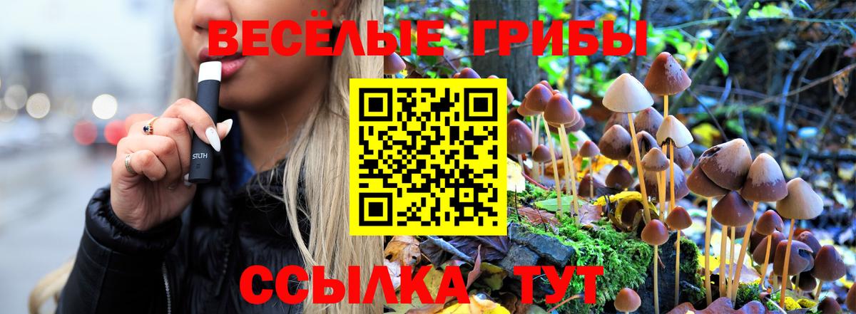 Пермь  Галлюциногенные грибы GOLDEN TEACHER  Вход с VPN  сколько стоит  Псилоцибиновые грибы мицелий 